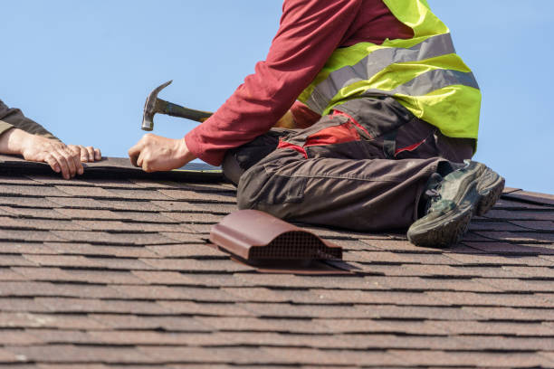 Best Roof Leak Repair  in Benld, IL